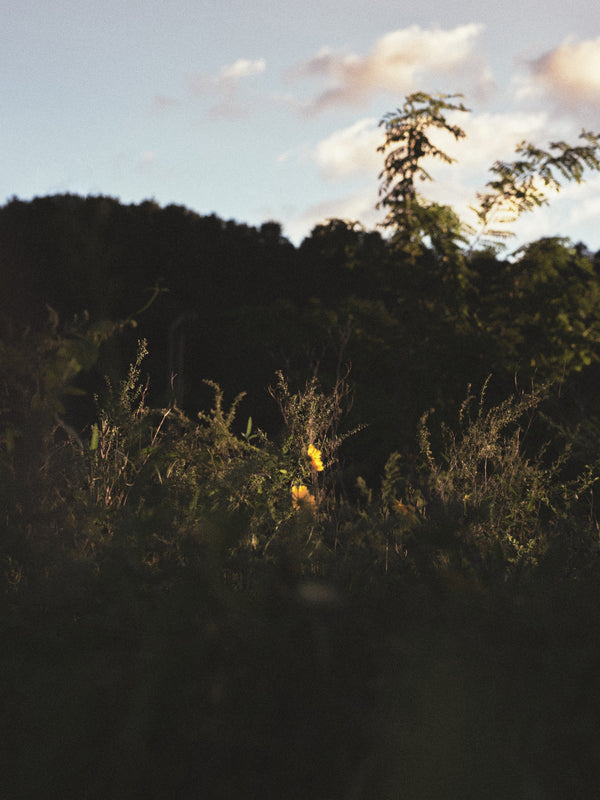 seeks and found :Editorial