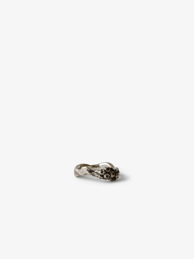 Shape Ring (10)